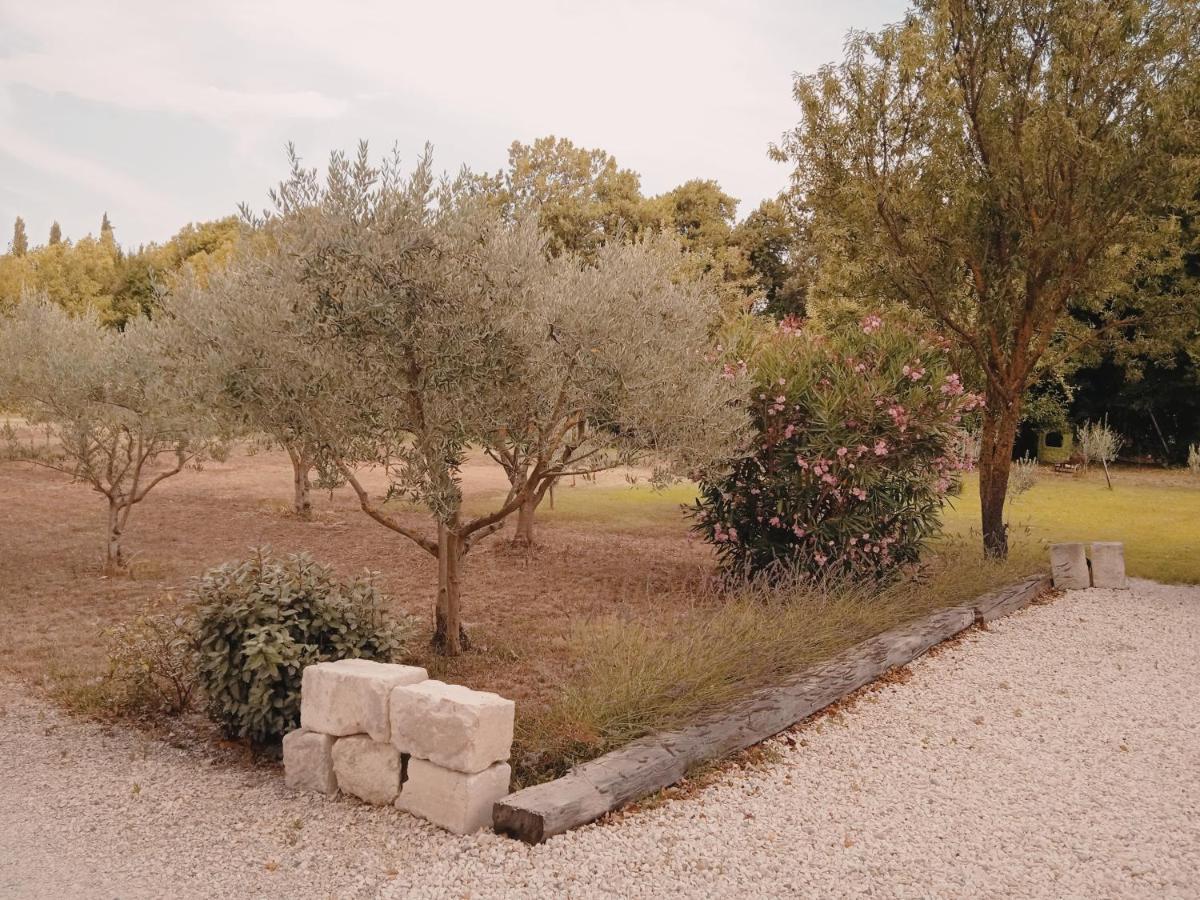 Gite Du Mas De La Finiere ,Avec Spa Interieur Châteaurenard Zewnętrze zdjęcie